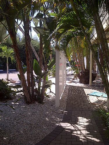 Coquina On The Beach Lido Key  Buitenkant foto