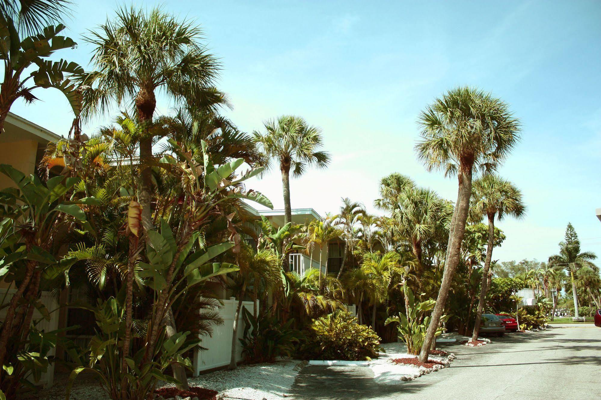 Coquina On The Beach Lido Key  Buitenkant foto